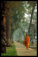 Monk Walking by the River