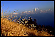 First Light on Dhaulagiri (8172m) from Poon Hill