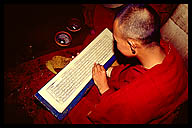 Monk Studying at the Drepung Monastery