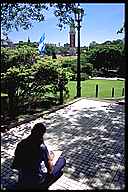 Artist in Plaza Libertador