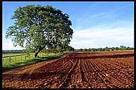 Farmland in Southern Brazil
