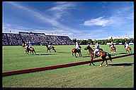 Polo Match, Buenos Aires