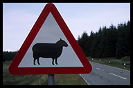 Road Hazard, Scotland