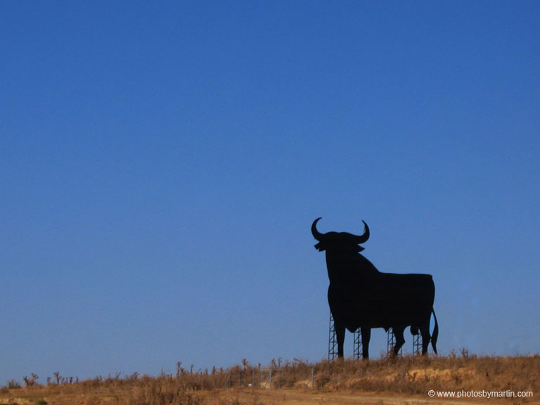 Roadside Toro